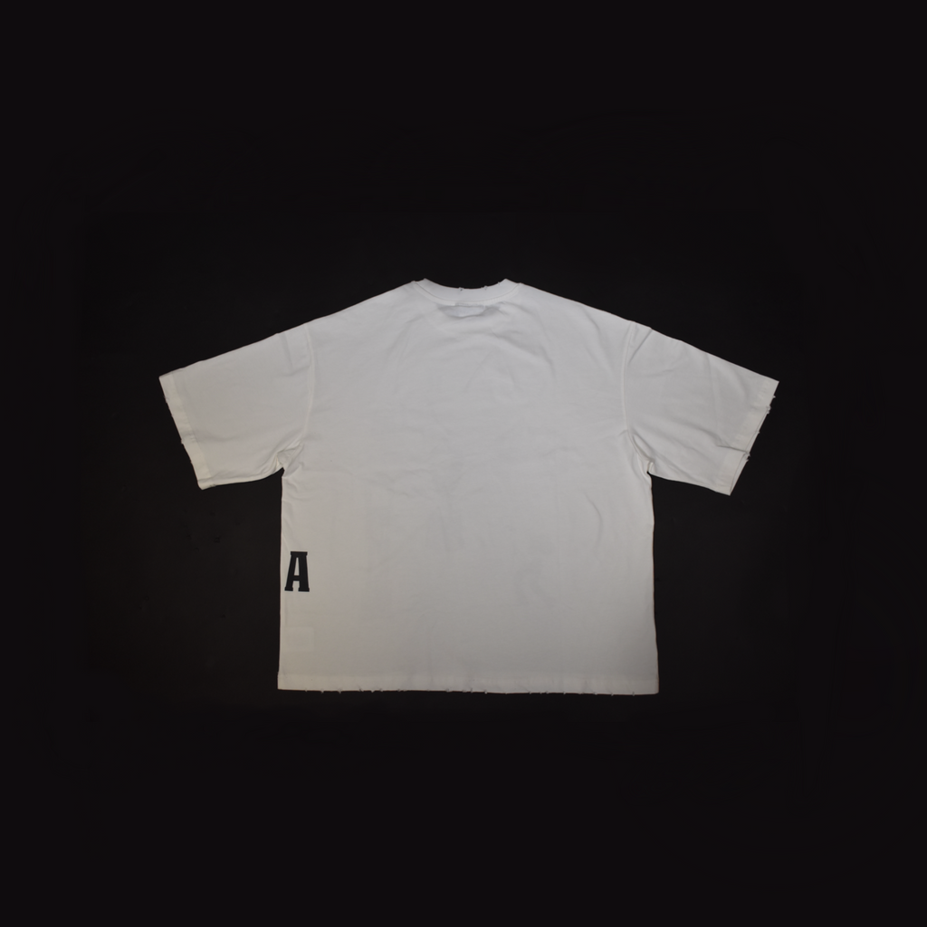 WHAT IS ACARI T-SHIRT
